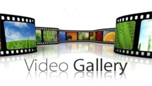 video-gallery